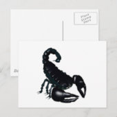 Zwarte Scorpion Briefkaart (Voorkant / Achterkant)