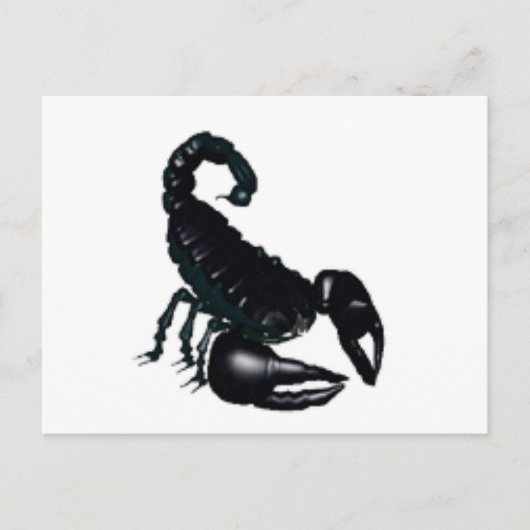 Zwarte Scorpion Briefkaart (Voorkant)