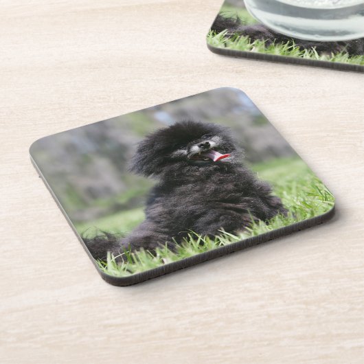 Zwarte Senior Pommeren Bier Onderzetter (Linkerzijde)