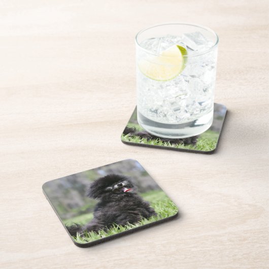 Zwarte Senior Pommeren Bier Onderzetter (Rechterzijde)