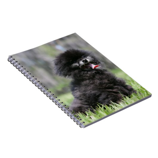 Zwarte Senior Pommeren Notitieboek (Rechterzijde)