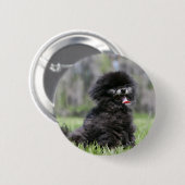 Zwarte Senior Pommeren Ronde Button 5,7 Cm (Voorkant /achterkant)