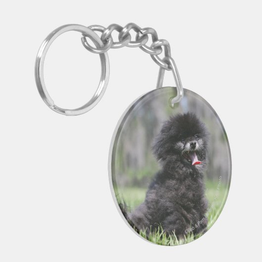 Zwarte Senior Pommeren Sleutelhanger (Voorkant Links)