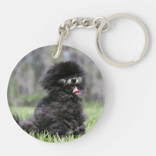 Zwarte Senior Pommeren Sleutelhanger (Achterkant)