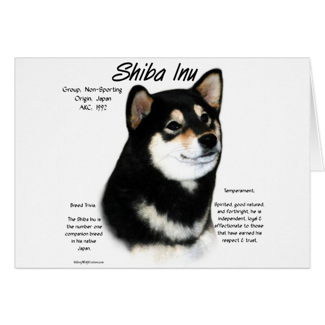 Zwarte Shiba Inu Geschiedenis (Voorkant Horizontaal)