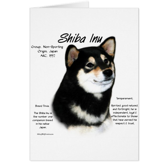 Zwarte Shiba Inu Geschiedenis (Voorkant)