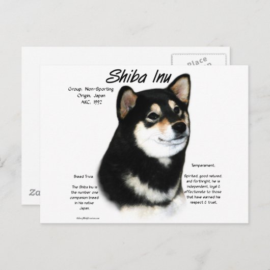 Zwarte Shiba Inu Geschiedenis Briefkaart (Voorkant / Achterkant)