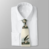 Zwarte Skimmer, Shearwater Audubon Birds of Americ Stropdas (Gebonden)