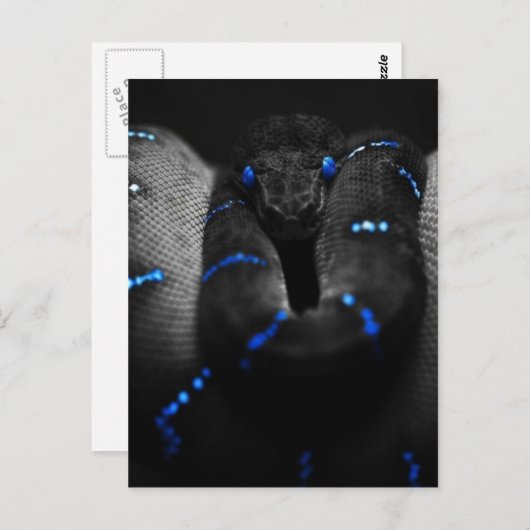 zwarte slang briefkaart (Voorkant / Achterkant)