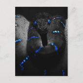 zwarte slang briefkaart (Voorkant)