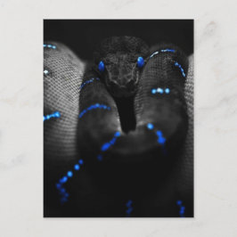 zwarte slang briefkaart