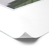 Zwarte Snakeroot; Zwarte Cohosh Poster (Hoek)