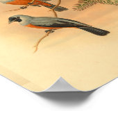 Zwarte spectaculaire  broekriem poster (Hoek)