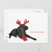 Zwarte speelgoed poedel met rendiergewei feestdagenkaart (Voorkant / Achterkant)