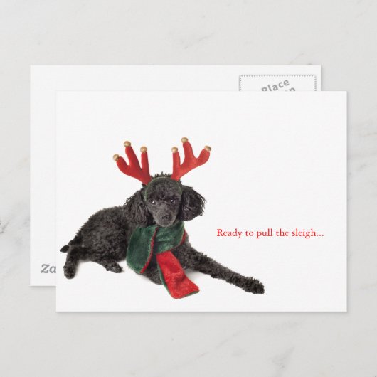 Zwarte speelgoed poedel met rendiergewei feestdagenkaart (Voorkant / Achterkant)