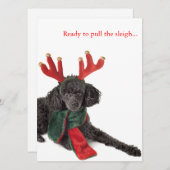 Zwarte speelgoed poodle met rendierantaarns feestdagenkaart (Voorkant / Achterkant)