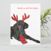 Zwarte speelgoed poodle met rendierantaarns feestdagenkaart (Staand voorkant)