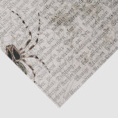 Zwarte spinnen op ontkoppeling van krantenpapier tissuepapier (Detail)