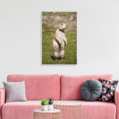 Zwarte staarthond canvas afdruk (Insitu (Woonkamer))