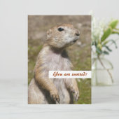 Zwarte staarthond kaart (Staand voorkant)