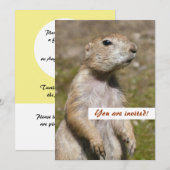 Zwarte staarthond kaart (Voorkant / Achterkant)