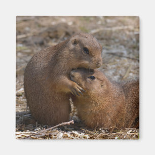 Zwarte-staartPrairie Dogs Magneet