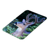 Zwarte-staartster | Nationaal Olympisch Park Magneet (Linkerzijde)