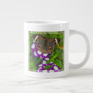 Zwarte Staartvlinder Grote Koffiekop