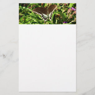 Zwarte Staartvlinder Natuurfotografie Briefpapier