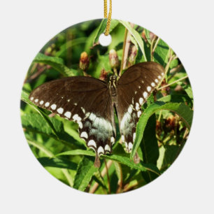 Zwarte Staartvlinder Natuurfotografie Keramisch Ornament
