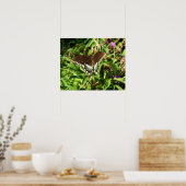 Zwarte Staartvlinder Natuurfotografie Poster (Keuken)