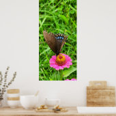 Zwarte Staartvlinder op een Roze Bloem Poster (Keuken)