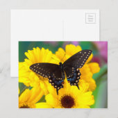 Zwarte Staartvlinder vlinder Briefkaart (Voorkant / Achterkant)