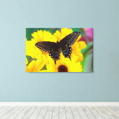 Zwarte Staartvlinder vlinder Canvas Afdruk (Insitu (Houten vloer))