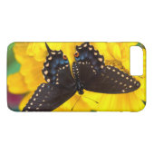 Zwarte Staartvlinder vlinder Case-Mate iPhone Case (Achterkant (Horizontaal))