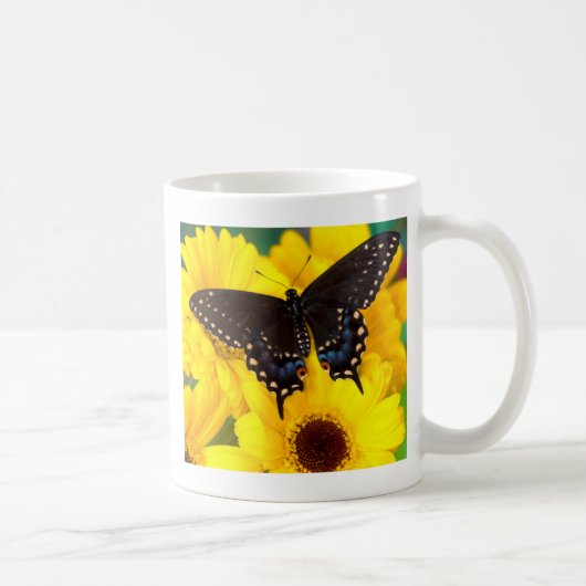 Zwarte Staartvlinder vlinder Koffiemok (Rechts)