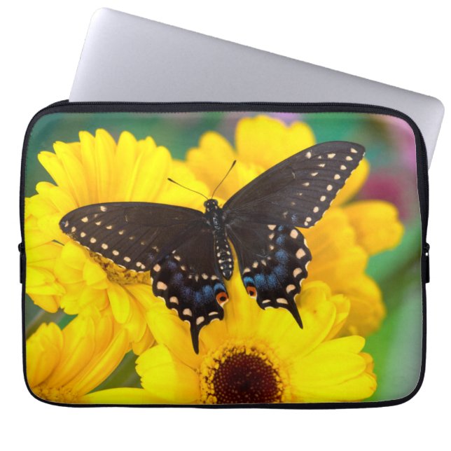 Zwarte Staartvlinder vlinder Laptop Sleeve (Voorkant)