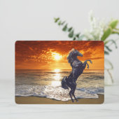 Zwarte stallion Horse op het strand Feestdagenkaart (Staand voorkant)