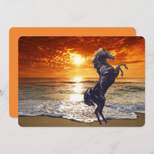 Zwarte stallion Horse op het strand Feestdagenkaart (Voorkant / Achterkant)