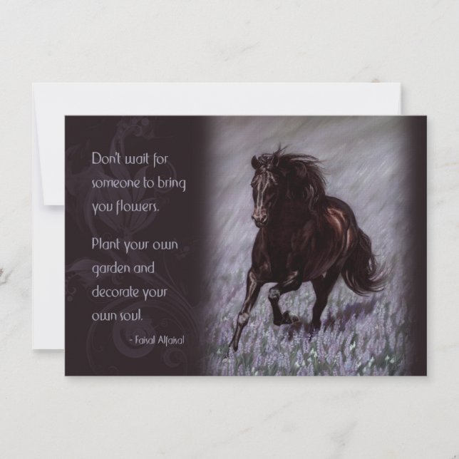 Zwarte Stallion in een droomgebied (Voorkant)