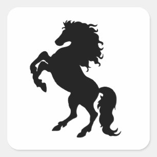 Zwarte stallion/paarden vierkante sticker