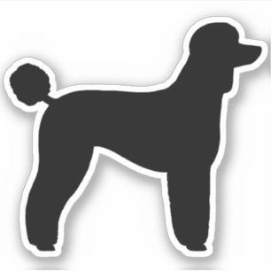 Zwarte Standaard Poodle Honden Silhouet Vinyl Stic Sticker