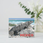 Zwarte stekelstaartleguaan in Mexico Briefkaart (Staand voorkant)