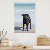 Zwarte stekker op het strand poster (Keuken)