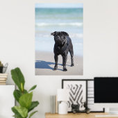 Zwarte stekker op het strand poster (Thuiskantoor)