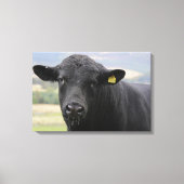 Zwarte stier van angus canvas afdruk (Voorkant)