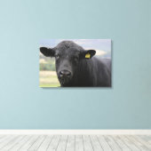 Zwarte stier van angus canvas afdruk (Insitu (Houten vloer))