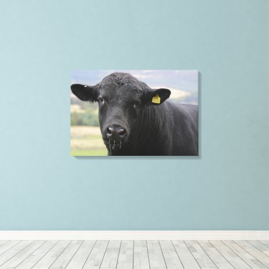 Zwarte stier van angus canvas afdruk (Insitu (Houten vloer))