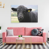 Zwarte stier van angus canvas afdruk (Insitu (Woonkamer))