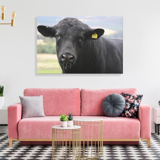 Zwarte stier van angus canvas afdruk (Insitu (Woonkamer))